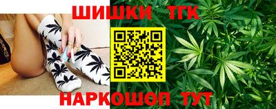 прущие грибы Кандалакша