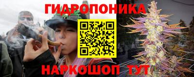 jwh Камышлов