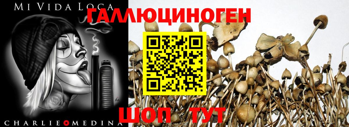 Псилоцибиновые грибы Magic Shrooms  Псилоцибиновые грибы мицелий  как найти наркотики  Вход с VPN  Кропоткин 
