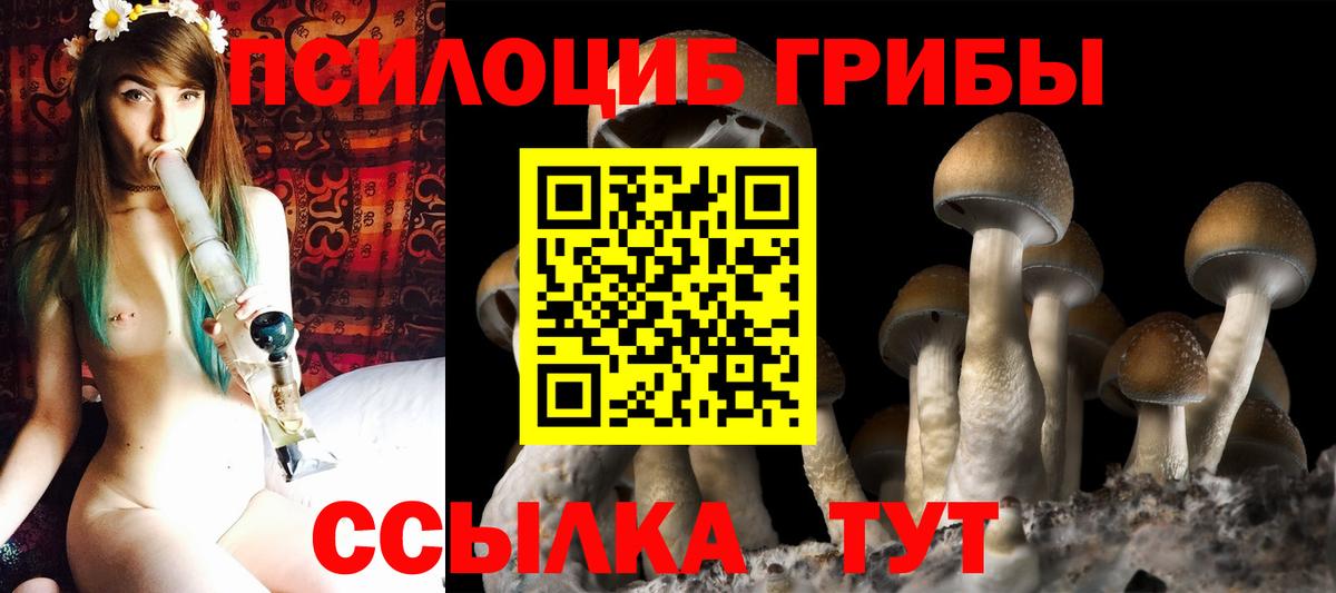 Псилоцибиновые грибы ЛСД Кропоткин